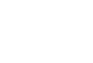 vixen