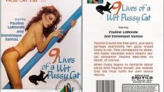 AV ซับไทย Pauline LaMonde บันเทิงไร้สนิมจิ๋มเก้าชีวิต VCX