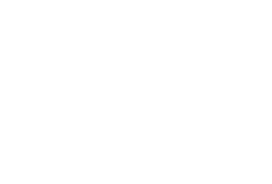ZIZ