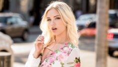 Alex Grey งานเร็วโนเฟลนักศึกษา Vixen