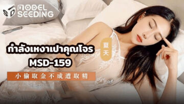 MSD-159 กำลังเหงาเป่าคุณโจร