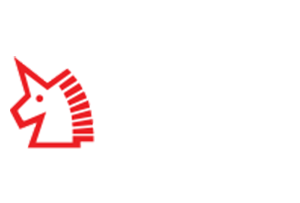 FC2