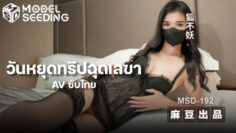 狐不妖 วันหยุดทริปฉุดเลขา MSD-192